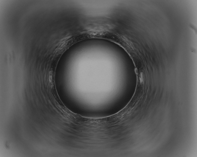 X0000091701396200708311042