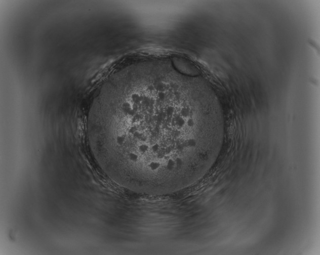 X0000091701397200708311042