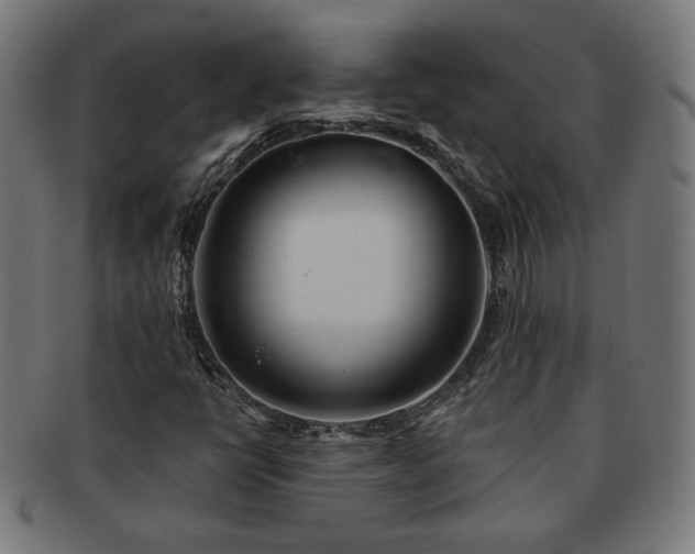 X0000091701398200708311042