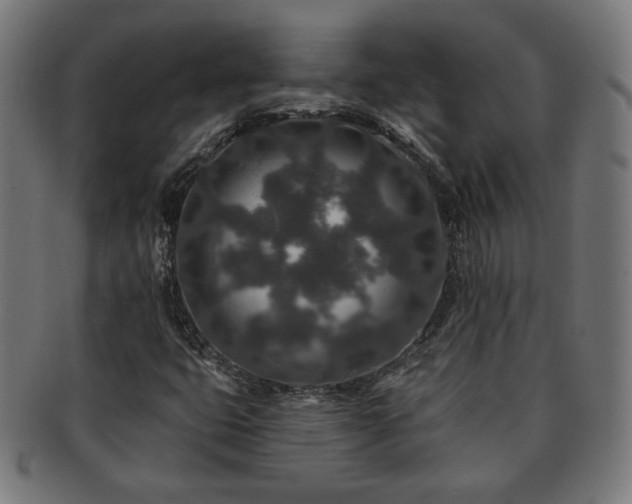 X0000091701399200708311042