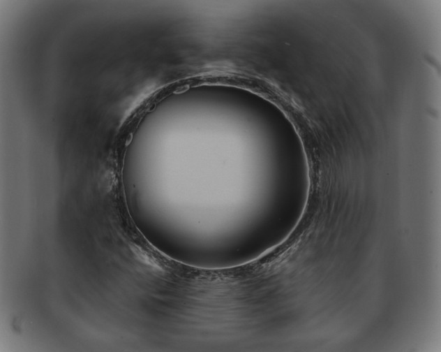X0000091701400200708311042