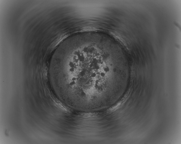 X0000091701401200708311042