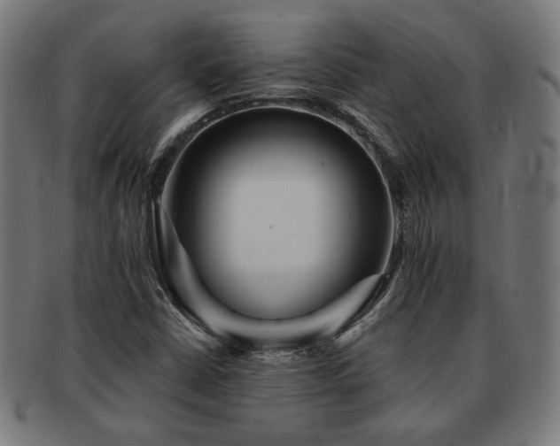X0000091701402200708311042
