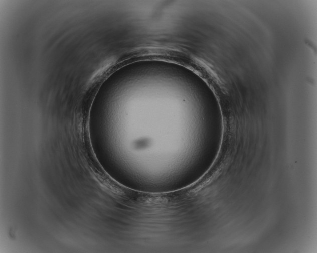 X0000091701403200708311042