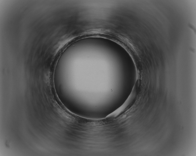 X0000091701404200708311042