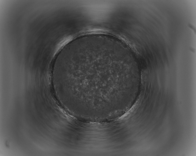 X0000091701405200708311042