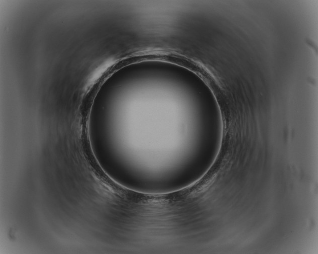 X0000091701406200708311042