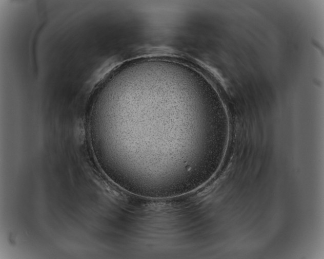 X0000091701407200708311042