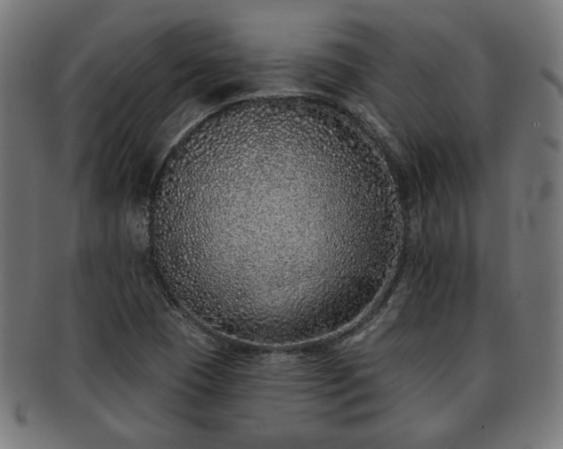 X0000091701409200708311042