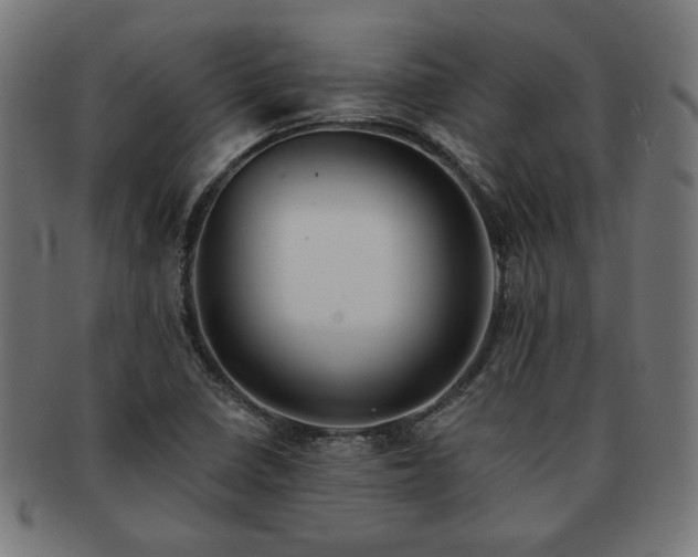 X0000091701410200708311042