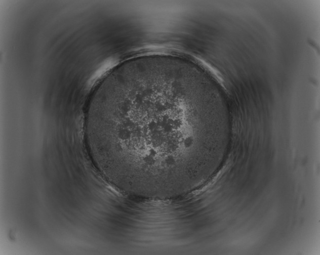 X0000091701411200708311042