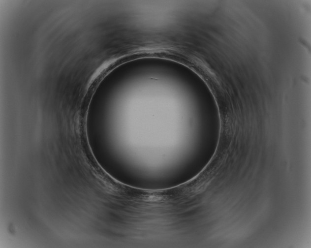X0000091701412200708311043