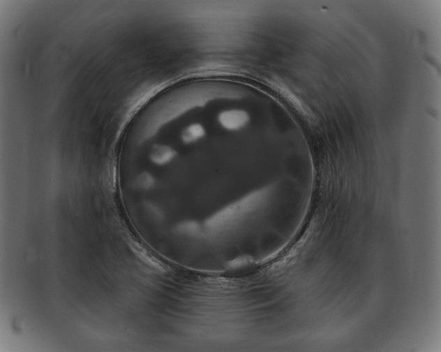 X0000091701413200708311043