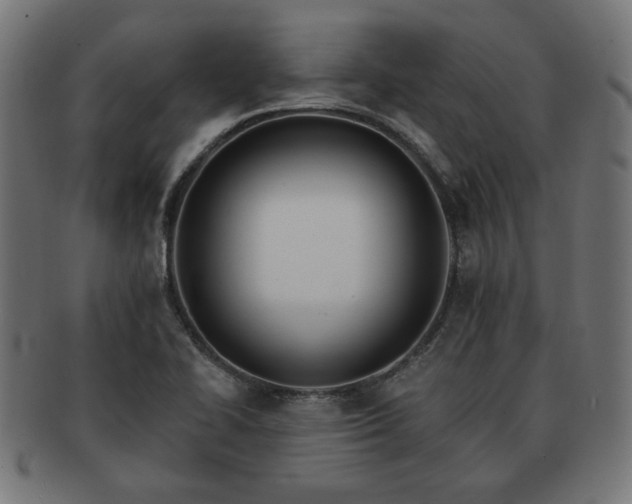 X0000091701414200708311043