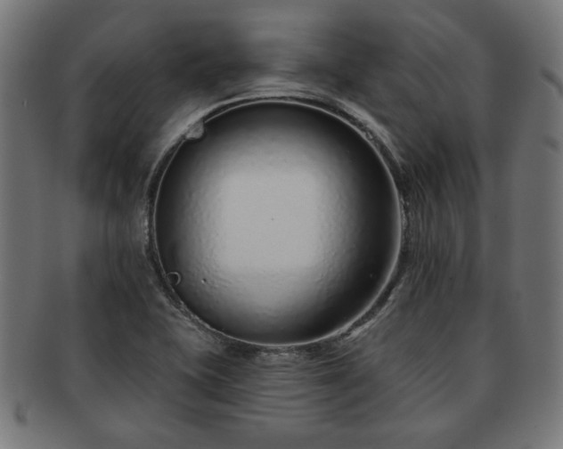 X0000091701415200708311043