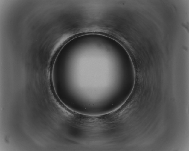 X0000091701416200708311043