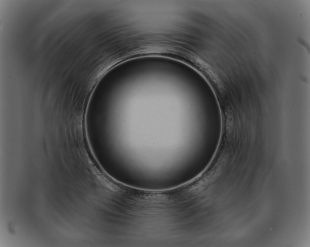 X0000091701417200708311043