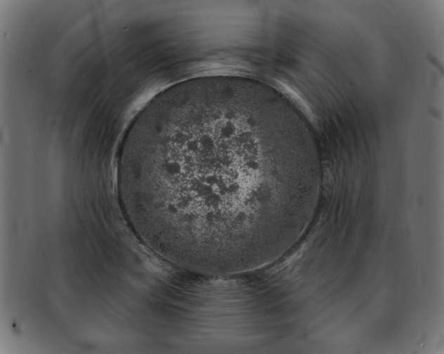 X0000091701419200708311043