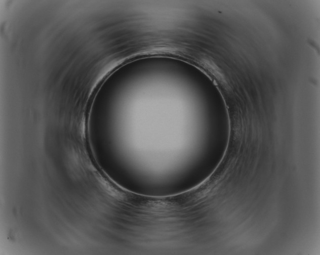 X0000091701420200708311043