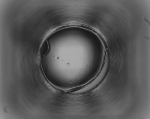 X0000091701421200708311043