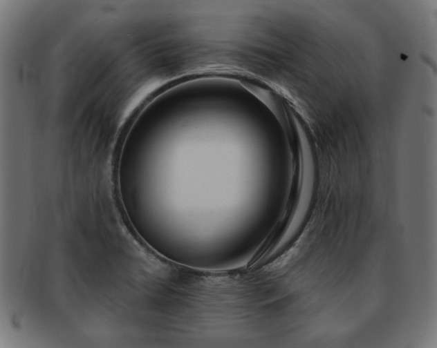 X0000091701422200708311043