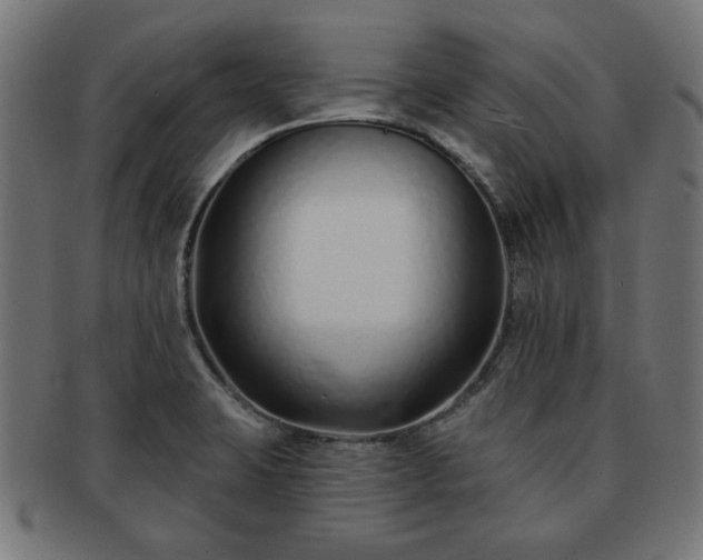 X0000091701423200708311043