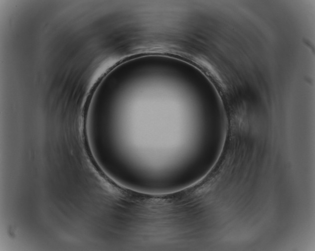 X0000091701424200708311043