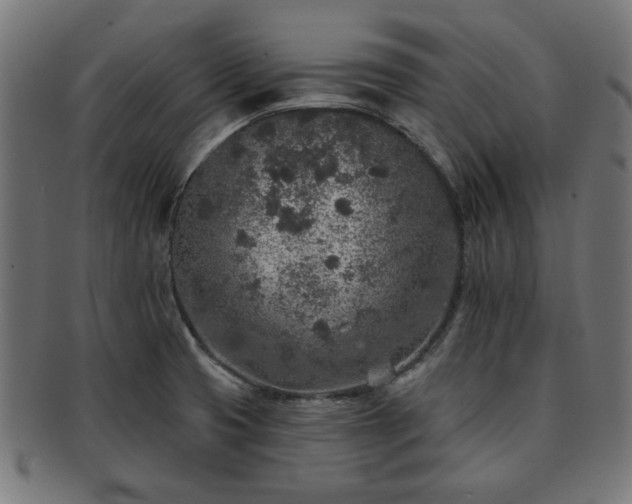 X0000091701425200708311043