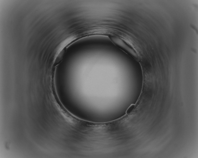X0000091701426200708311043