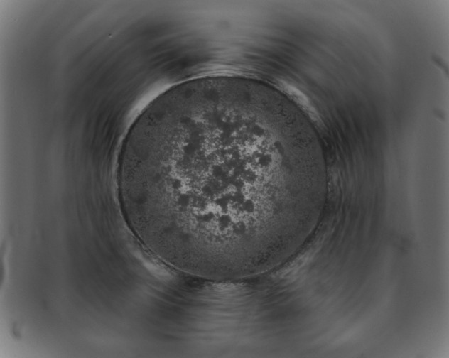 X0000091701427200708311043