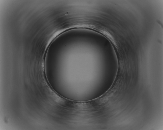 X0000091701428200708311043