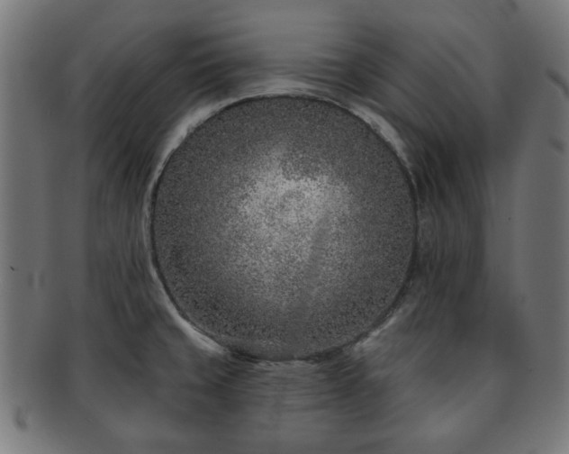 X0000091701429200708311043