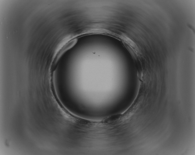 X0000091701430200708311043