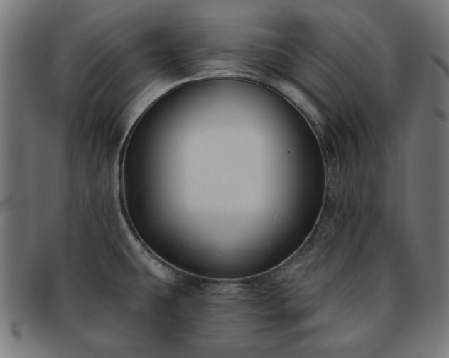 X0000091701431200708311043