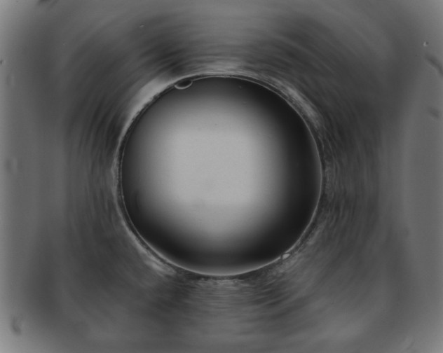 X0000091701432200708311043