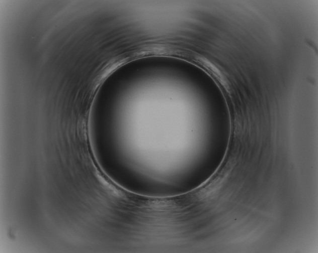 X0000091701433200708311043