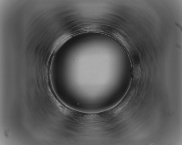 X0000091701434200708311043