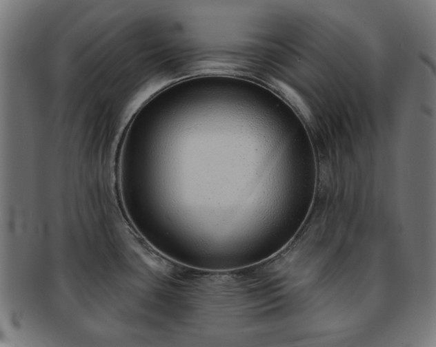 X0000091701435200708311043