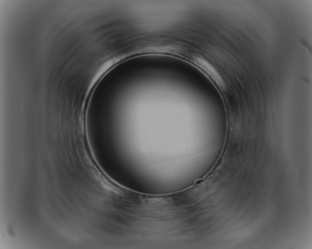 X0000091701436200708311043
