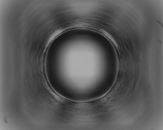 X0000091701437200708311043