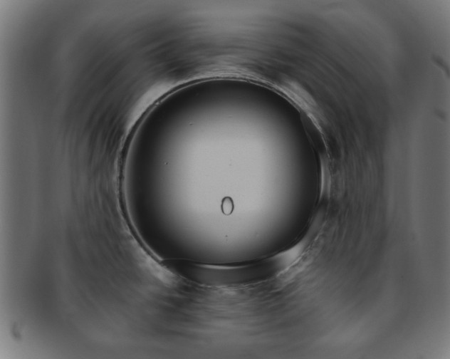 X0000091701438200708311043
