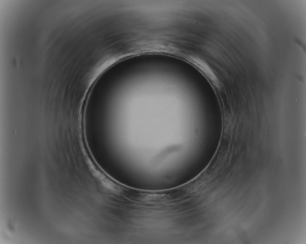 X0000091701439200708311043