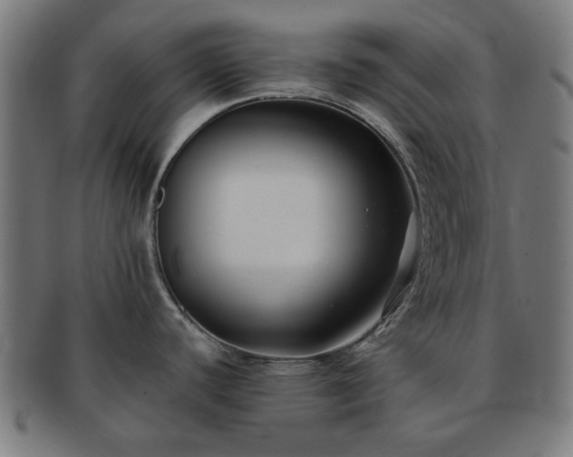 X0000091701440200708311043