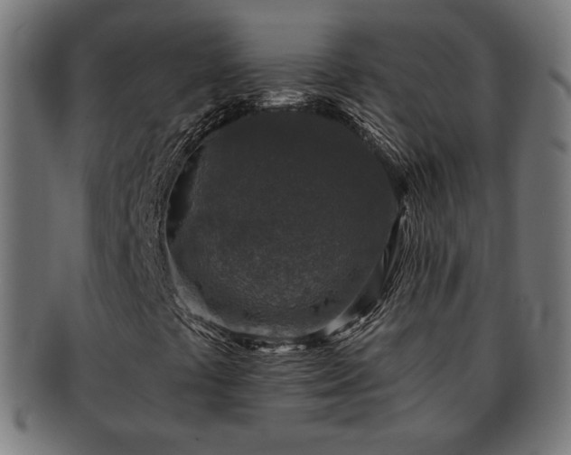 X0000091701441200708311042