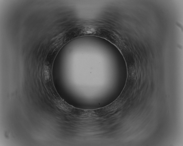 X0000091701442200708311042