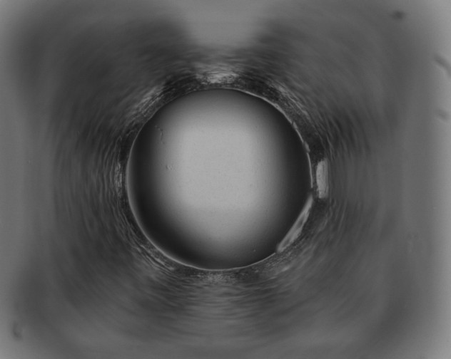 X0000091701443200708311042