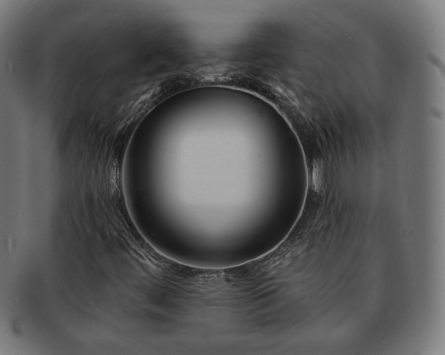 X0000091701444200708311042