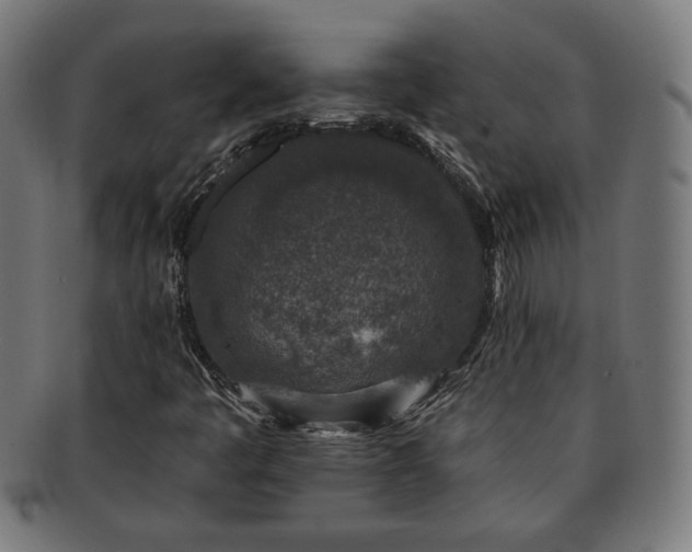 X0000091701445200708311042