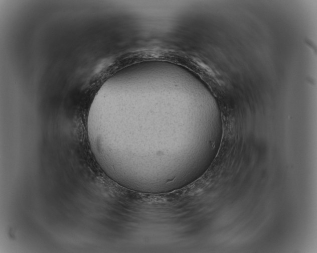X0000091701446200708311042