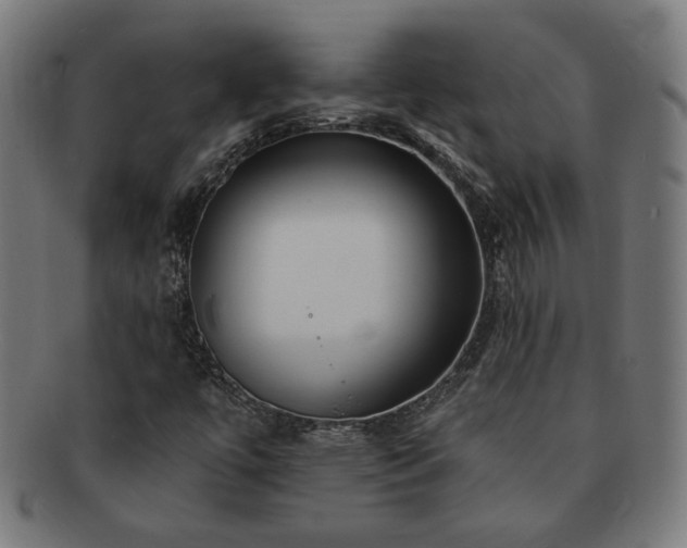 X0000091701447200708311042